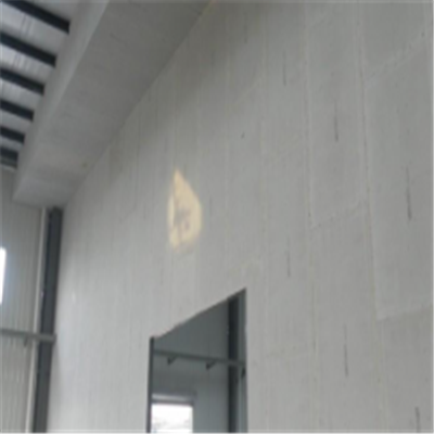 新昌宁波ALC板|EPS加气板隔墙与混凝土整浇联接的实验研讨